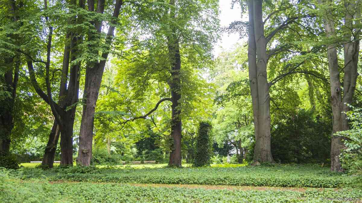 Fäkalien im Spielhaus: Dieser Park in Eidelstedt schüchtert viele Nachbarn ein