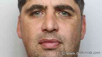 Drunken holidaymaker who brawled on Jet2 flight in front of terrified families after downing bottle of vodka is jailed