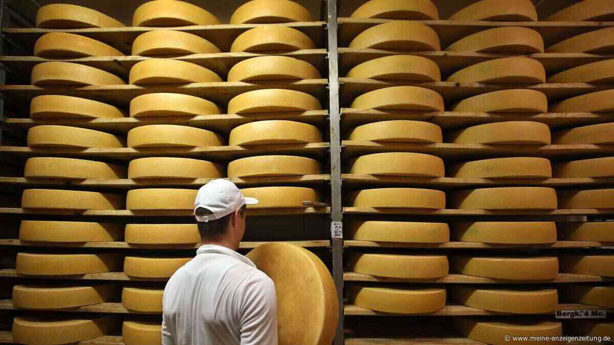 Bergkäse stets vom Berg? Wann er wirklich von der Alm kommt