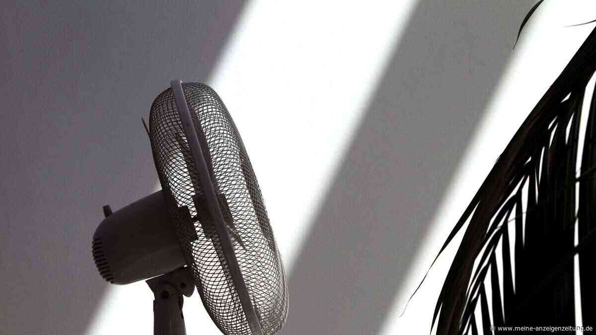 Hitze im Haus: Was bringt eigentlich ein Ventilator?