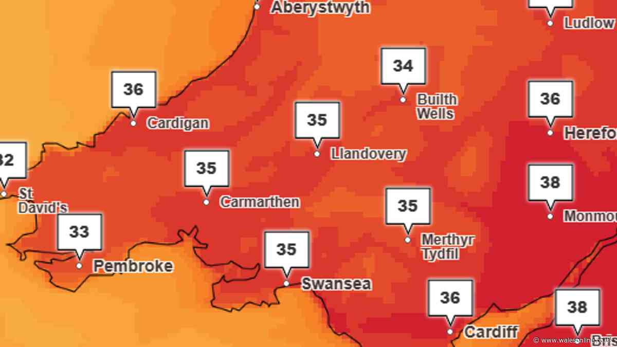 Met Office hour by hour forecast shows most dangerous part of the day that could catch people out