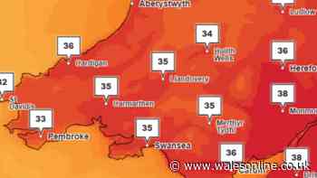 Met Office hour by hour forecast shows most dangerous part of the day that could catch people out