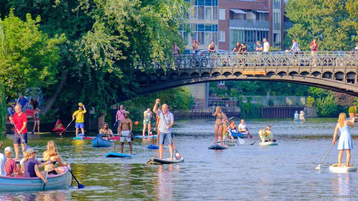 Raus aufs Wasser: Hier können Hamburger Kajak, Kanu und Co. an der Alster mieten