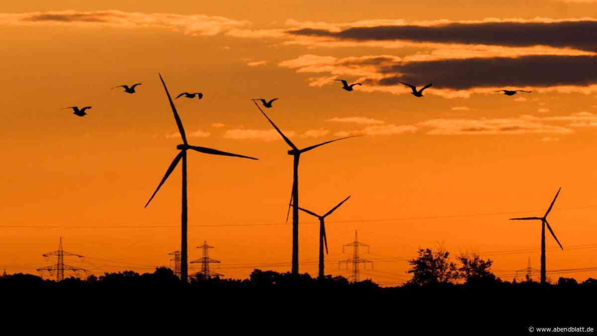 1000 Euro pro Megawattstunde: So treibt die Hitzewelle den Strompreis nach oben
