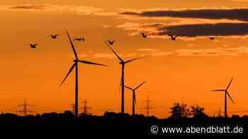 1000 Euro pro Megawattstunde: So treibt die Hitzewelle den Strompreis nach oben