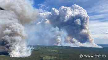 Northern Rockies Regional Municipality calling for release of 2024 wildfire investigation