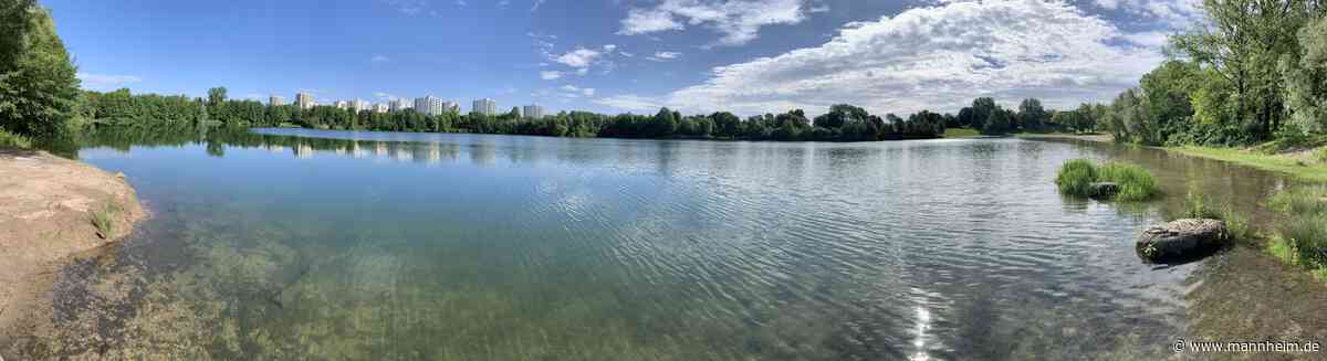 Ausgezeichnete Wasserqualität in den Badeseen