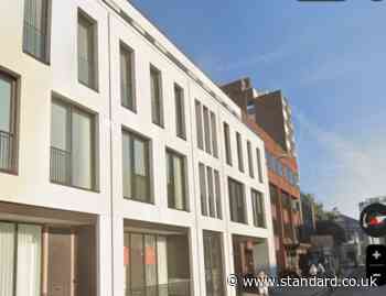 Chelsea resident fears nearby development will ‘plunge home into near total darkness’