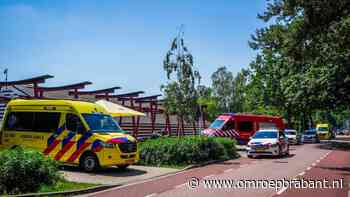 Drenkeling uit recreatieplas De IJzeren Man in Eindhoven gehaald