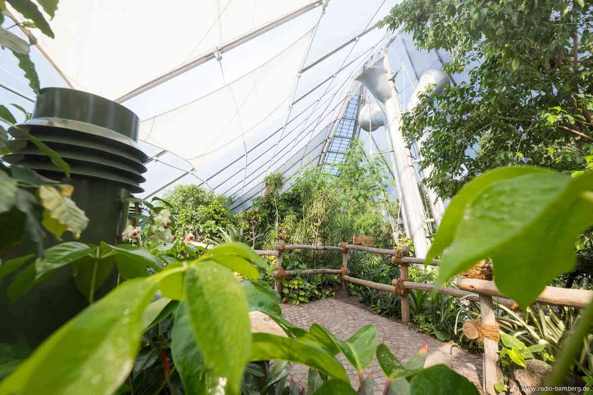 Nach langem Umbau: Neue Dschungelwelt in Münchner Zoo