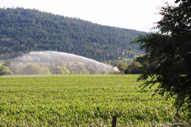 Farmers lament severe water cuts as historic drought grips North Okanagan