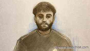 Afghan migrant who 'raped two 14-year-old girls at his flat after plying them with vodka' tells court he drank alcohol because 'Satan took over me'