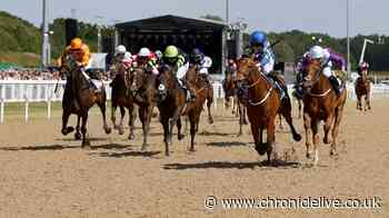 Newcastle Racecourse confirm 'special measures' to keep horses cool on red hot Plate Day
