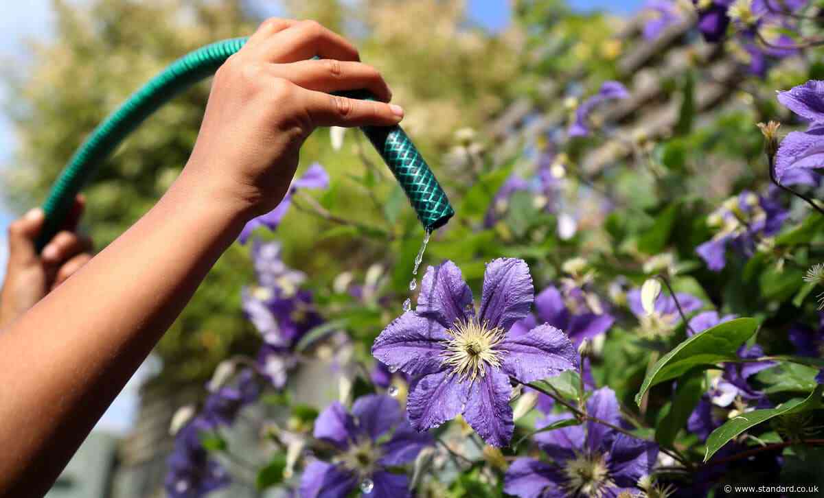 Hosepipe ban closes in on London as millions in commuter belt under water restrictions