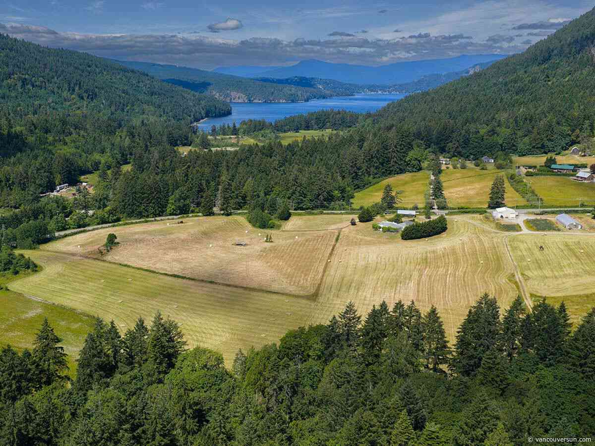An olive farm on Salt Spring Island? Believe it — and maybe buy it