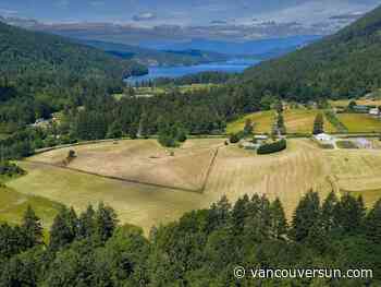 An olive farm on Salt Spring Island? Believe it — and maybe buy it