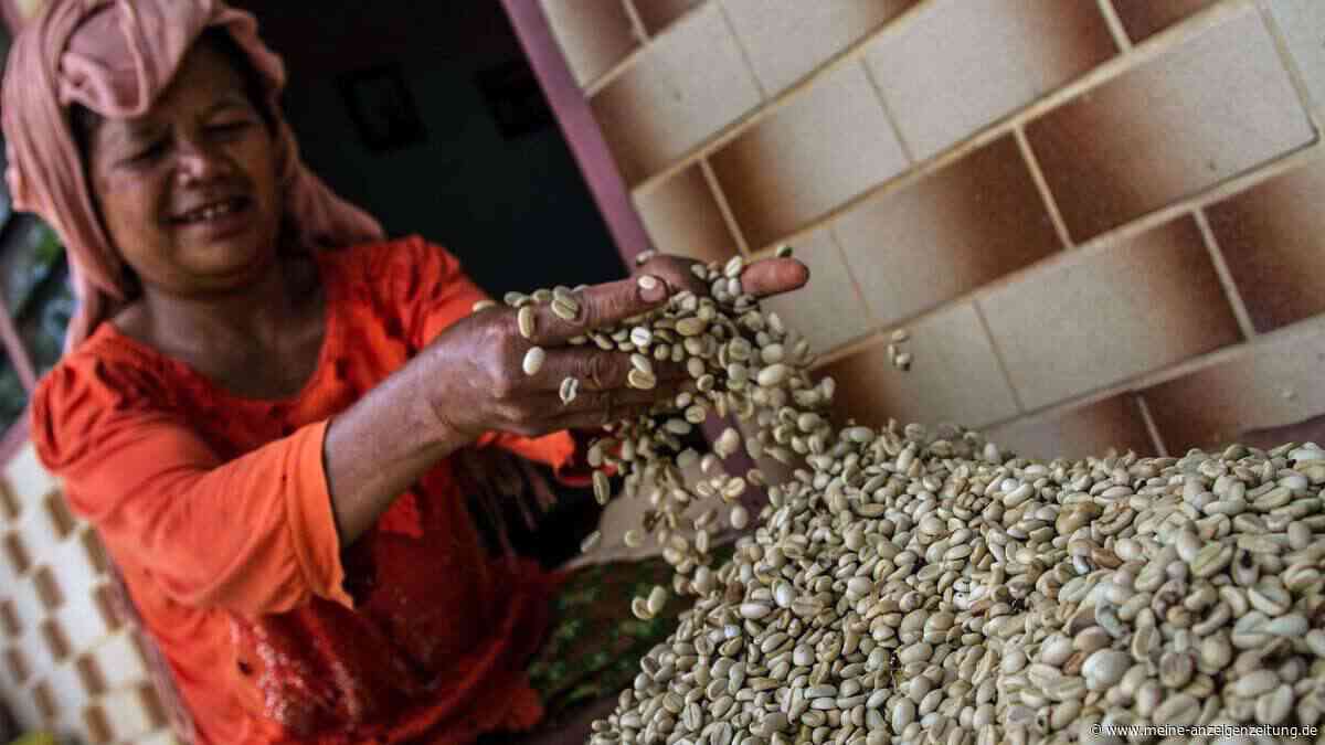 Pestizide im Kaffee: In jeder fünften Tasse stecken sie mit drin