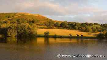 Plans for new gym and saunas at Valleys beauty spot