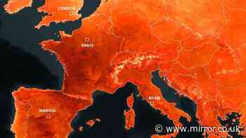 European heatwave deaths soar to the HUNDREDS and mercury hits 44C with 3 kids found dead in scorching cars