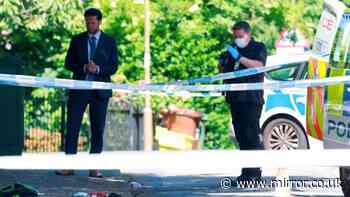 Suspected crossbow attack leaves Edinburgh street 'covered in blood' as arrests made