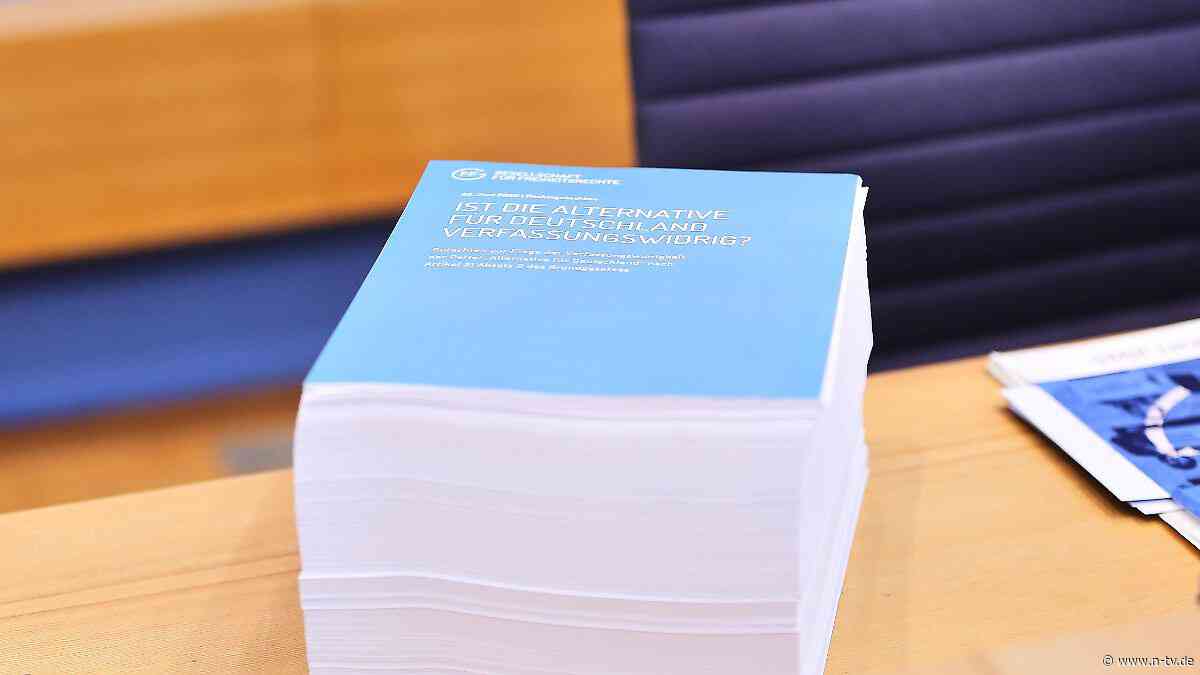Neue Argumente für Parteiverbot: "Bislang umfangreichstes Gutachten" hält AfD für eindeutig verfassungswidrig