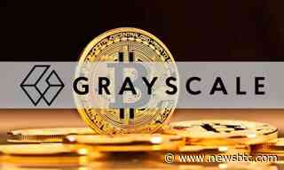 Grayscale Says Revenue-Generating Crypto Protocols Look Attractively Valued