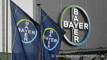 Bayer-Aktie mit Kurssprung: Supreme Court stärkt Konzern im Glyphosat-Streit