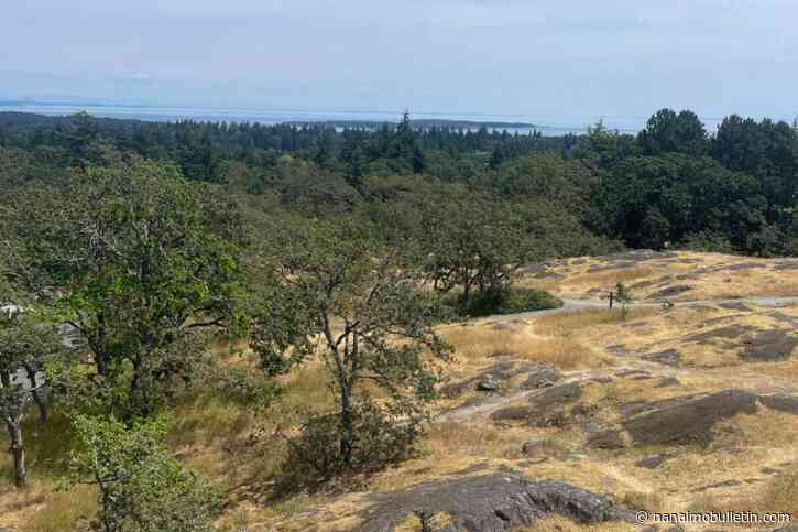 Scorching temperatures seared into record book for Victoria, Qualicum, Duncan
