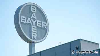 Bayer gewinnt im Glyphosat-Streit vor US-Supreme-Court – Aktie steigt deutlich
