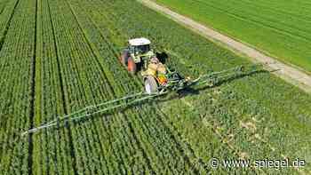 Bayer gewinnt Glyphosat-Streit in den USA vor Supreme Court