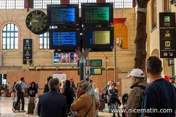 SNCF Voyageurs dit avoir supprimé en moyenne 10 % de ses trains en raison de la canicule