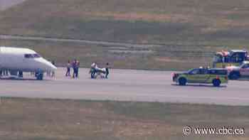 Halifax-bound flight started 'swerving violently' after captain became incapacitated