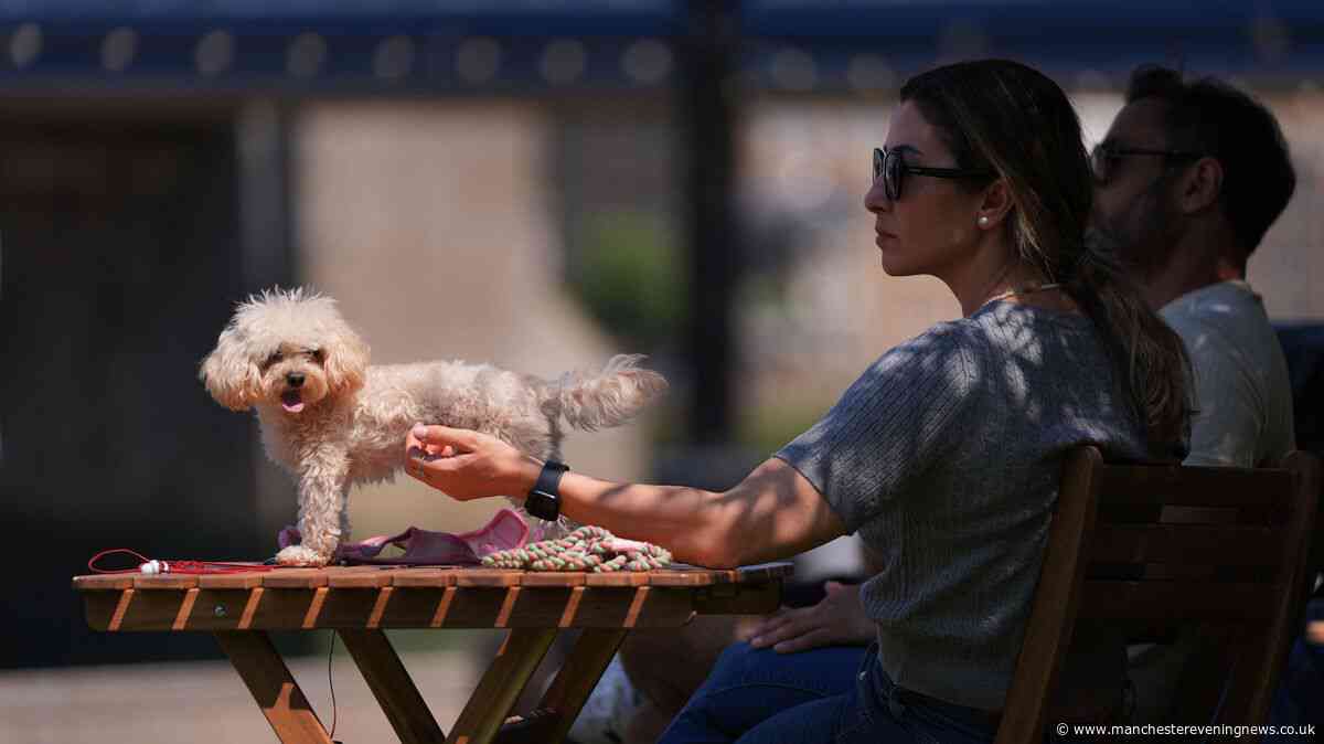 Thousands call for new law on back of UK heatwave to prevent 'unnecessary suffering'