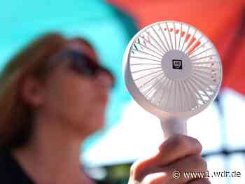 Bis 40 Grad: So geht NRW mit der Hitze um