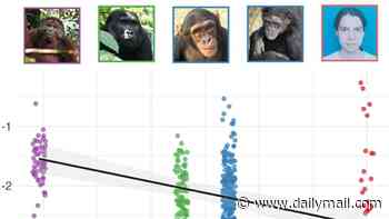 That's bananas! Great apes LAUGH in a similar rhythm to humans, study reveals