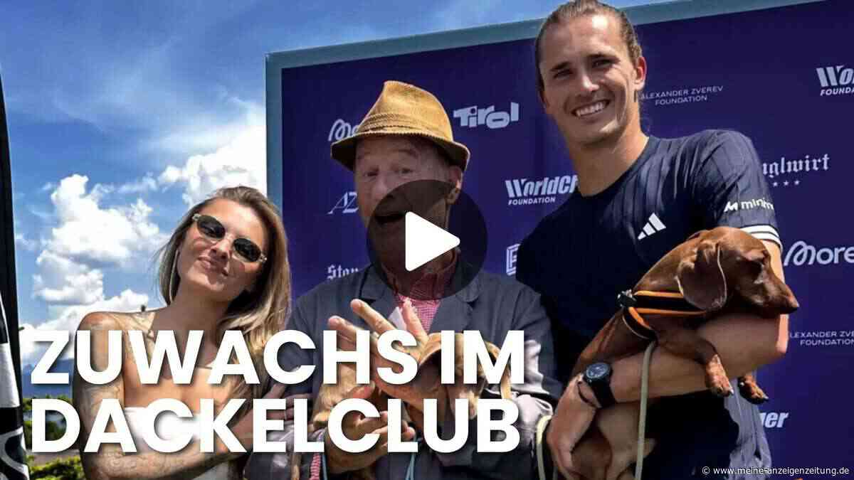 Hund von Thomalla und Zverev wird „Ehrenmitglied“ im Dackelclub