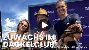 Hund von Thomalla und Zverev wird „Ehrenmitglied“ im Dackelclub
