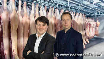 Duidelijkere prijsdruk bij runderen dan bij varkens