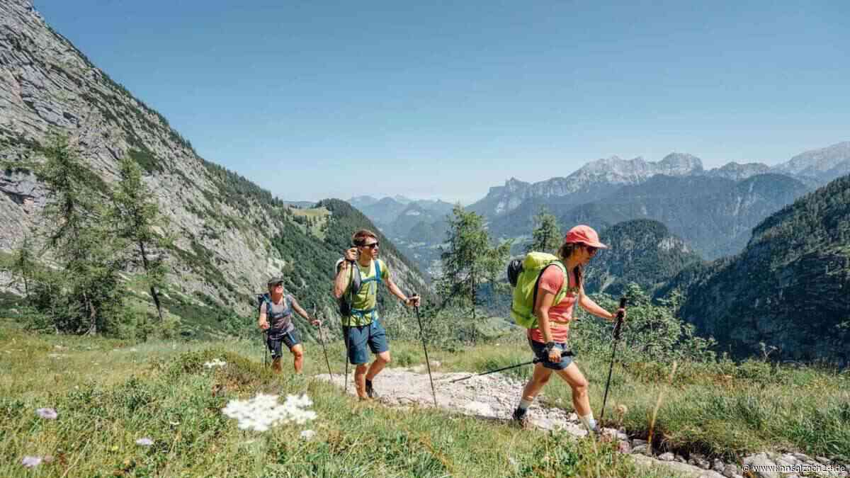 Hitzewelle in den Alpen: DAV warnt vor diesen fatalen Wander-Fehlern
