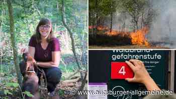 Brandgefahr im Kreis Günzburg: „Es ist menschliches Verhalten, das einen Waldbrand auslöst.“