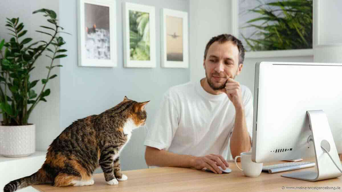 Homeoffice in Deutschland: Viele würden nur für mehr Geld verzichten