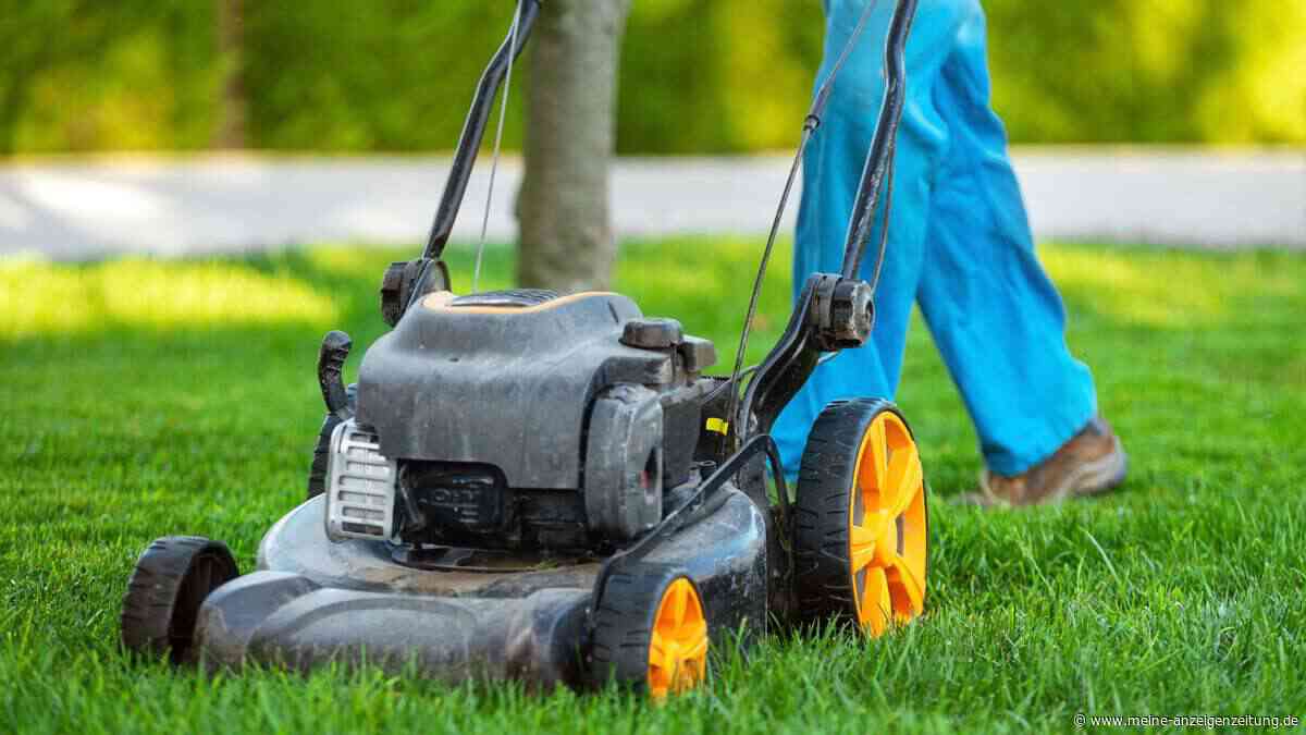 Rasen mähen bei Hitze: Der ultimative Leitfaden für einen gesunden Sommer-Rasen