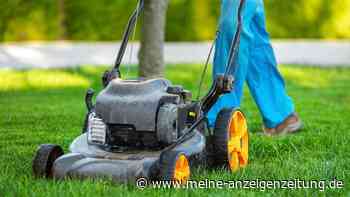 Rasen mähen bei Hitze: Der ultimative Leitfaden für einen gesunden Sommer-Rasen