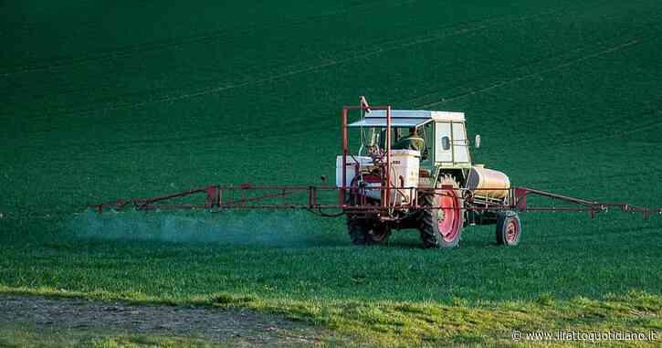 Glifosato, i consumatori non possono fare causa a Bayer: la Corte Suprema tutela il colosso, come voleva Trump