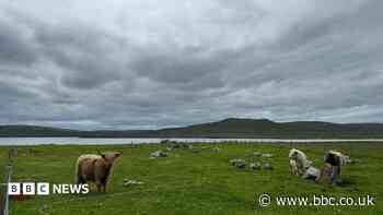 What heatwave? Shetland stays cool under grey skies