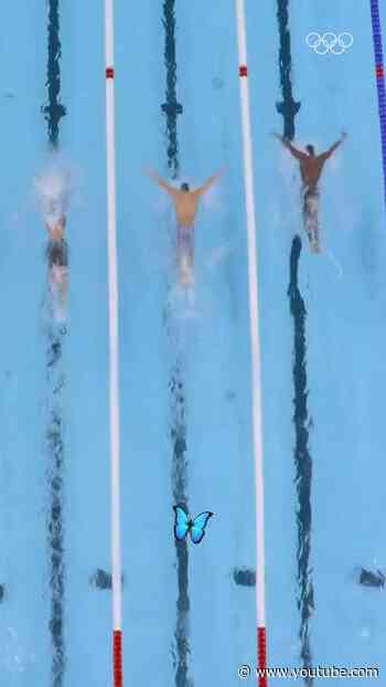 POV: You're a butterfly watching the men's 100m butterfly at #Paris2024. #Olympics