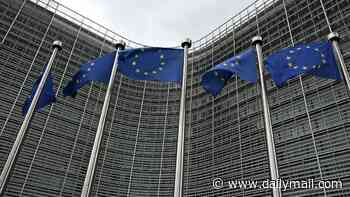 Brussels ridiculed over plans to start allowing influencers to cover summits - but only if they're Europhiles, with anyone anti-EU set to be banned