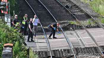 Woman dies and girl, 8, fighting for her life after train hits car at level crossing