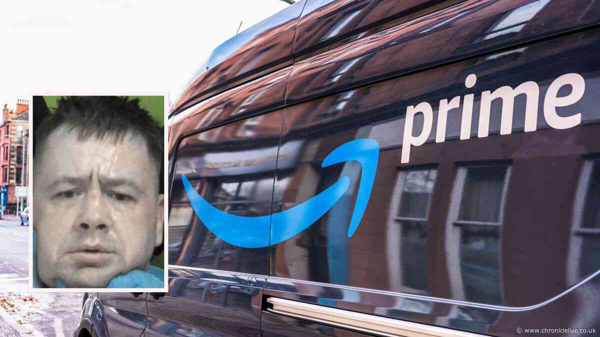 Thief sent Amazon delivery driver flying into bush as he brazenly made-off with his van