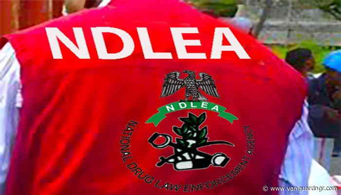 NDLEA seizes 9,488kg of illicit drugs, secures 71 convictions in Plateau